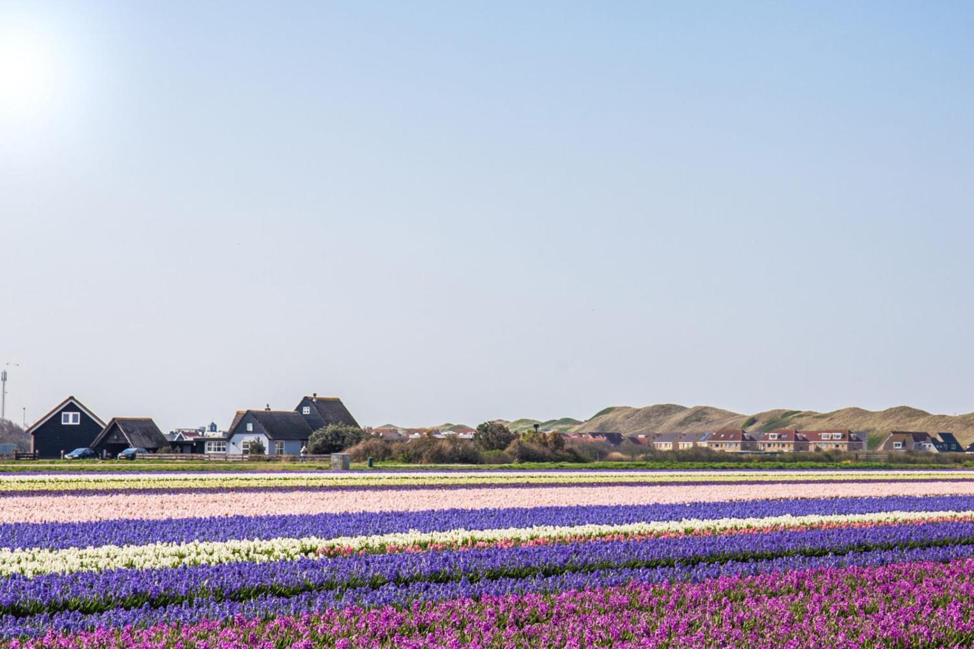 Beach Appartement 27 - Aan De Duinen, Callantsoog Aan Zee Extérieur photo